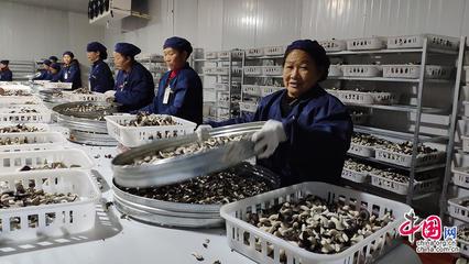 23省市2100余款產品齊聚全國菌博會，《中國食用菌產業年鑒》即將發布